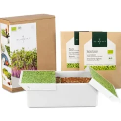 Anzuchtset Microgreens