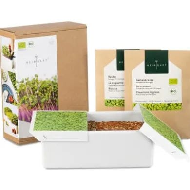 Anzuchtset Microgreens