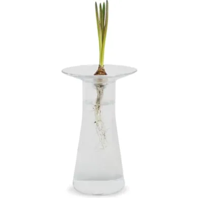 Aufsatz zu Vase Labor