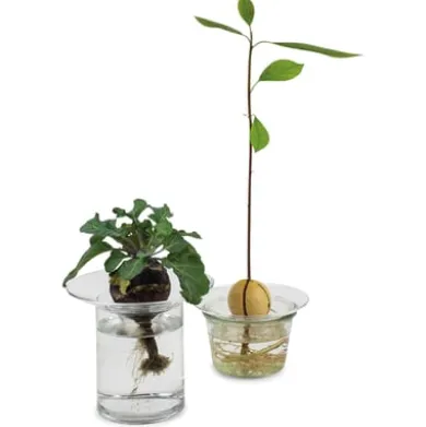 Aufsatz zu Vase Labor