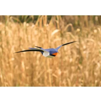 3D Papiermodell Vögel