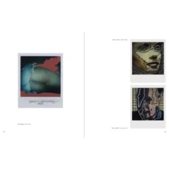 Das Polaroid Projekt