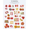 Die Gourmet-Bibel Italien