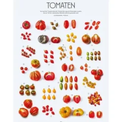 Die Gourmet-Bibel Italien