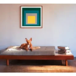 Druck Josef Albers