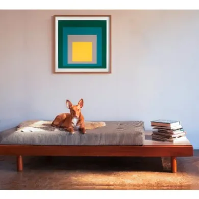Druck Josef Albers