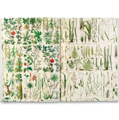 Geschenkpapier Pepin