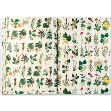Geschenkpapier Pepin