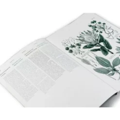 Geschenkpapier Pepin