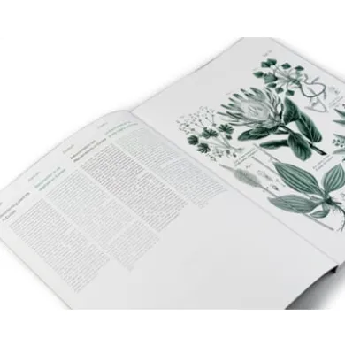 Geschenkpapier Pepin
