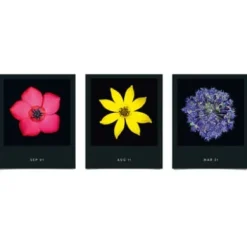 Jahreskalender Flamboyant Flowers