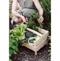 Kleine Gartenschere