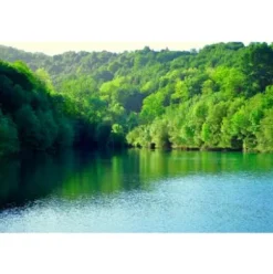 Lakesidebox Birke