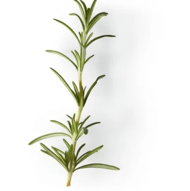 Nachfüller zu Naturseife Soeder