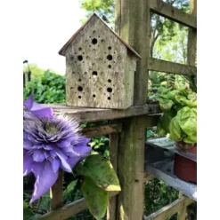 Nisthilfe Bienenhotel Bee's Inn
