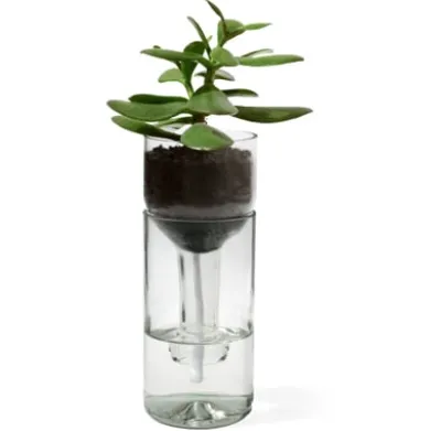 Pflanzgefäß Self Watering Bottle