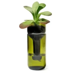 Pflanzgefäß Self Watering Bottle
