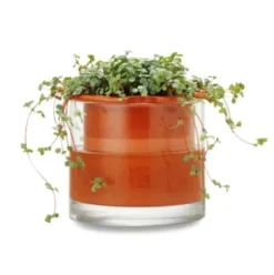 Pflanzgefäß Wet Pot Systems