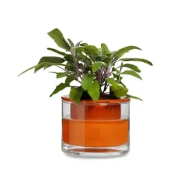Pflanzgefäß Wet Pot Systems