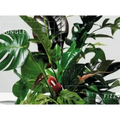 Plants at Work