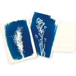 Postkartenset DIY Cyanotypie