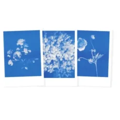 Postkarten-Set Riso