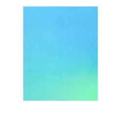 Postkarten-Set Riso