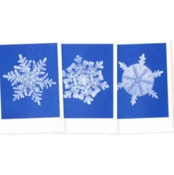 Postkarten-Set Riso Winter
