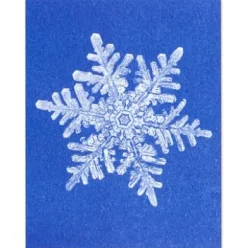 Postkarten-Set Riso Winter