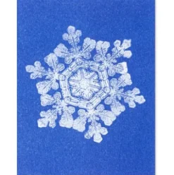 Postkarten-Set Riso Winter