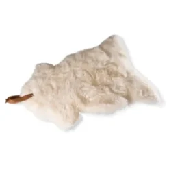 Schaffell Skiep