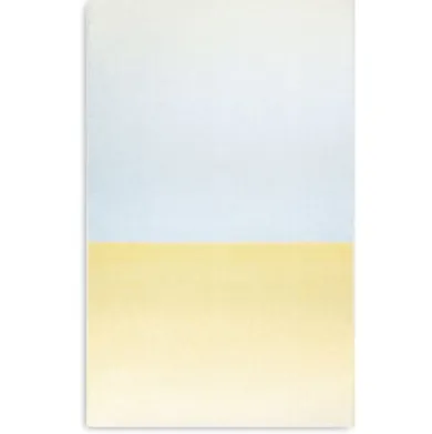 Schurwolldecke Gradient