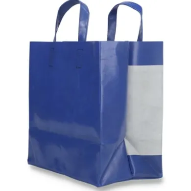 Tasche F250 Sonny