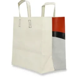Tasche F250 Sonny