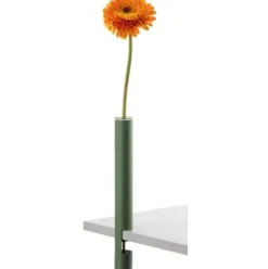 Vase CLEM