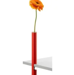 Vase CLEM