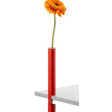 Vase CLEM