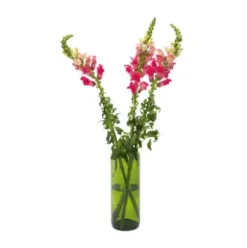 Vase Weinflasche