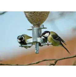 Vogelfutterspender Sodabird