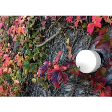 Wand- und Deckenleuchte Zylinder LED