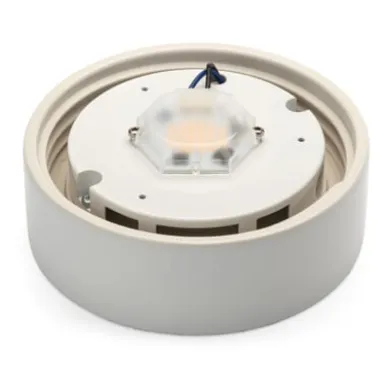 Wand- und Deckenleuchte Zylinder LED