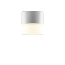 Wand- und Deckenleuchte Zylinder LED