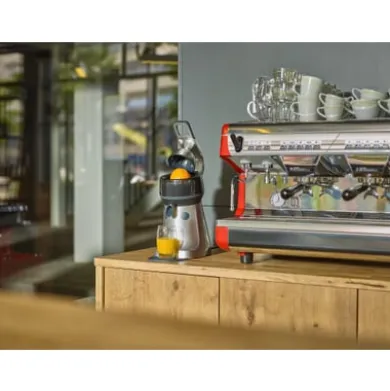 Zitruspresse The Juicer