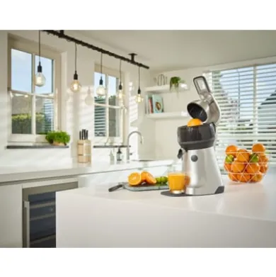 Zitruspresse The Juicer